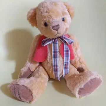 ANNIVERSARY BEARS STORY 봉제 인형