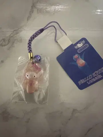 헬로키티 홋카이도 한정 지역 한정 키티 클리오네 산리오