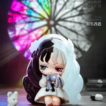 LILITH 비밀 실험 Twin transformationation