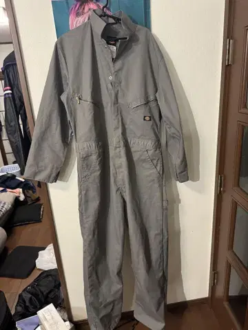 컨디션 최상 Dickies 츠나기 그레이 사이즈 L 가을 오기 전에!