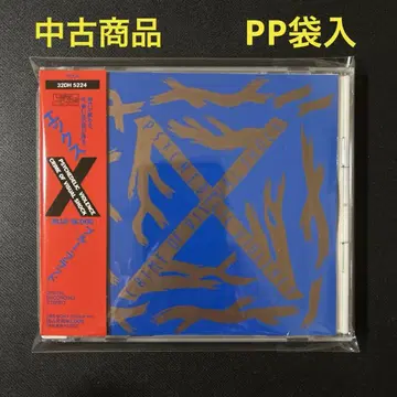 X/블루 브래드
