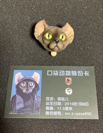 MR.Z 고양이 헤드