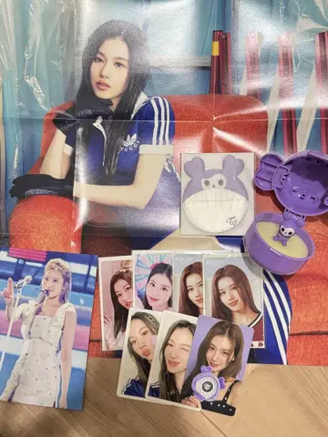 사진 속 모든 것 사나 TWICE