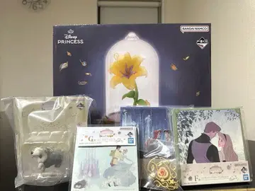 디즈니 프린세스 Dream in color 라스트 원상 마법의 꽃 라이트