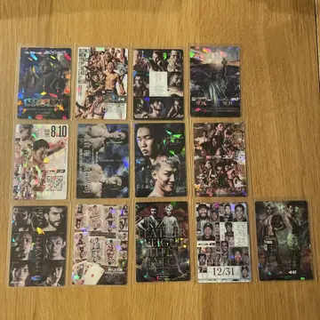 RIZIN 감자 스틱 카드 컬렉션 12장
