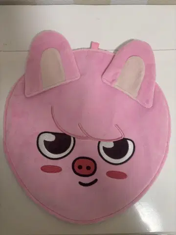 Straykids 창빈 부채 커버