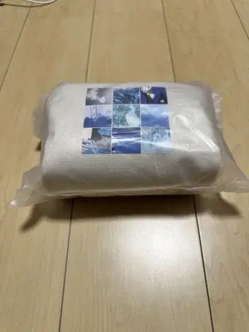 시점과 시점 파우치