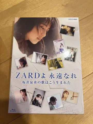 ZARD/ZARD여 영원하라 사카이 이즈미의 노래는 이렇게 태어났다