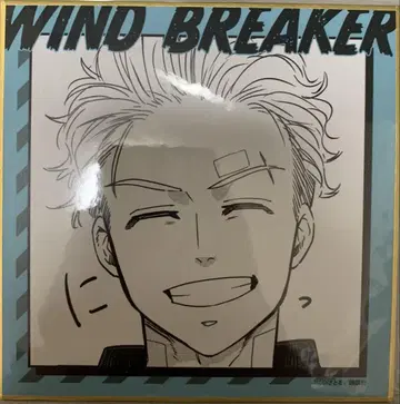 WIND BREAKER 복권메이트 미니색지 색지 우메미야 잇치