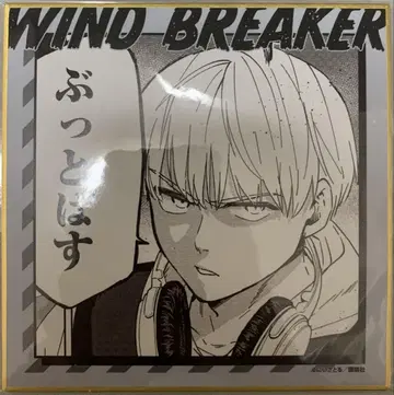 WIND BREAKER 복권메이트 미니 색지 카지 렌