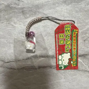 고토치 키티 도치기 한정판 닛코 버전