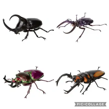 생물대도감 4종 세트