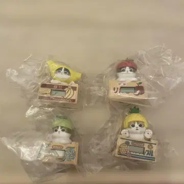 mofusand 모기타테냥 워치 모프샌드 4종류 컴프