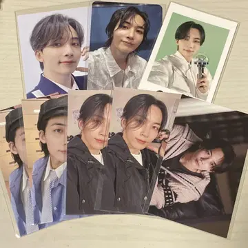 seventeen 정한 트레이딩 카드 묶음 구매