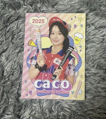 PayPay돔 판매원 카드 카코