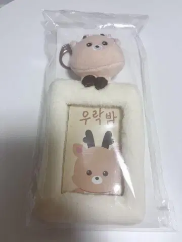RIIZE 성찬 RIIZE PARK 포토 카드 홀더