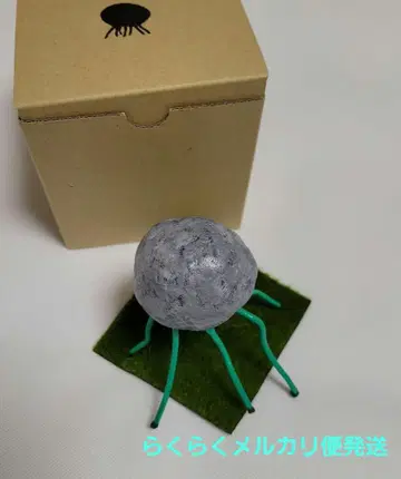 암석 생물 Stone 스톤 오브제 GAZIO 가조