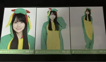 노기자카46 카키 하루카 묘년 용 브로마이드 컴프