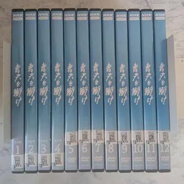 DVD 청천을 찌르다 총집편 전 12권 새상품 케이스 포함
