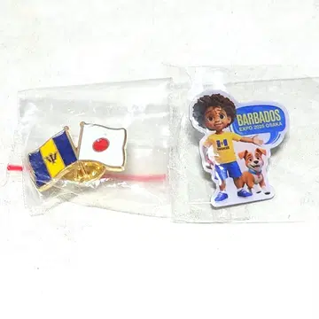바르바도스관 핀 배지 2종 세트입니다