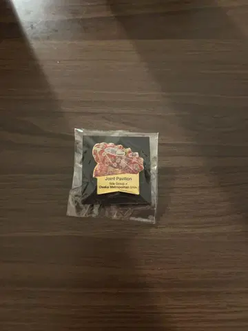 오사카 간사이 엑스포 이이다 그룹 핀 배지