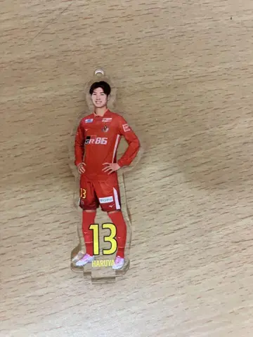 후지이 히나타 아크릴 스탠드