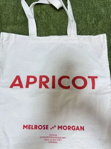 APRICOT 토트백 Melrose and Morgan