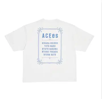 ACEes T셔츠 투어T