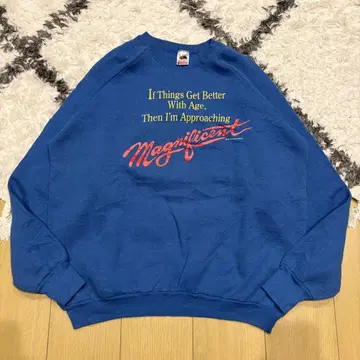 구제 의류 90s 프룻 오브 더 룸 프린트 맨투맨 파랑 래글런 슬리브