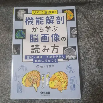 재활에 활용! 기능 해부학에서 배우는 뇌 이미지 판독법