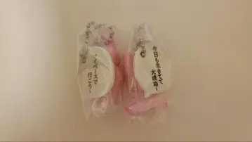 나오냥 스윙 토끼 A 토끼 F