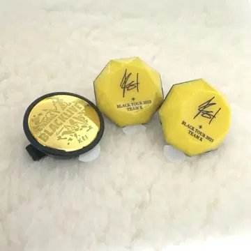 브라스 링 라이트 케이