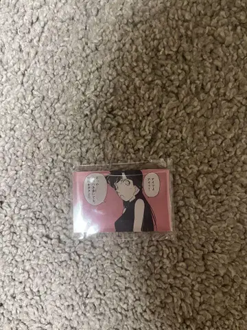 명탐정 코난 고향관 아크릴 블록 란
