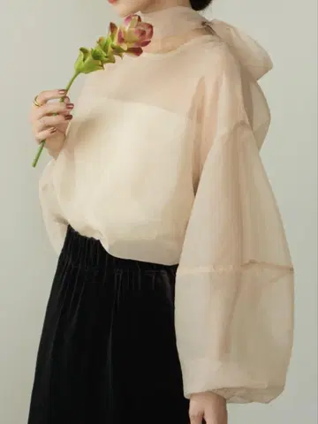 hinari 리본 타이 포함 시어 블라우스 9/23 한정 가격