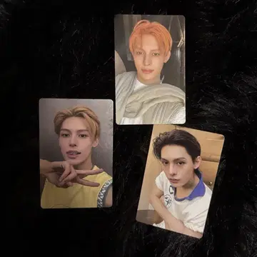 cortis 제임스 트레이딩 카드 컴프