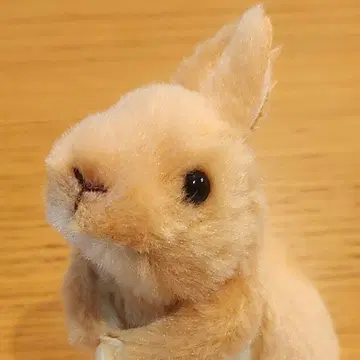 [ 새상품 ]  토끼 봉제 인형