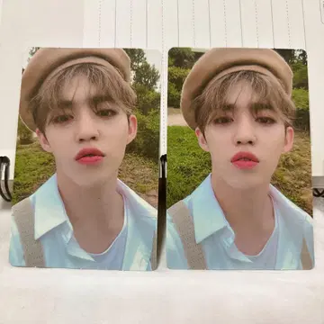 SEVENTEEN 세븐틴 에스쿱스 hope 포토카드 앨범 2장 세트