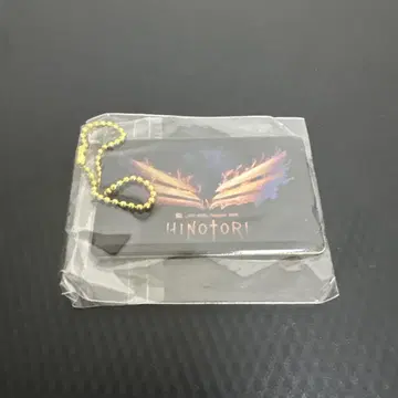 B'z LIVE-GYM Pleasure-HINOTORI- 회장 한정판 참