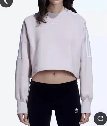 아디다스 크롭 맨투맨 트레이닝복 S 라이트퍼플