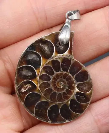 암모나이트 화석 펜던트 목걸이 파워스톤 펜던트 천연