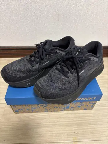 브룩스 고스트 맥스 28cm