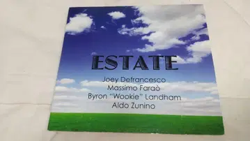 JOEY DEFRANCESCO 조이 디프란체스코 / ESTATE
