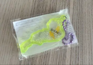 비와코 아크릴 키링 썬더 옐로우 컬러