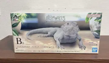 제일복권 파충류&양서류 B상 비어디드래곤 피규어 하이포제로