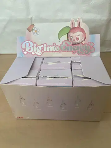 정품 BigintoEnergy 러브브 핸드폰 참 키링