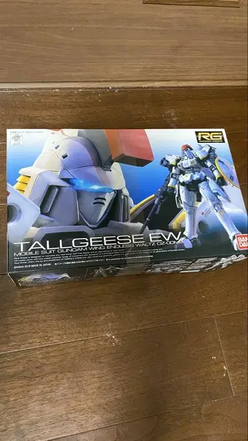 RG TALLGEES EW 건담 프라모델