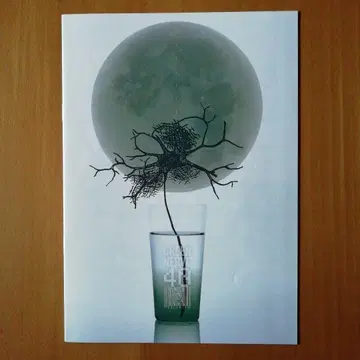 히라사와 스스무 뉴스레터 GREEN NERVE 그린너브 vol.40