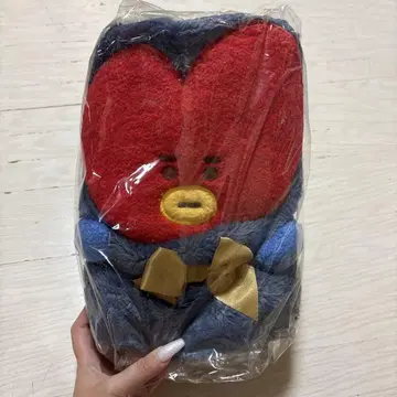 BT21 Warm TATA 담요