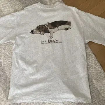 LL 빈 x 빔즈 비글견 T셔츠 L