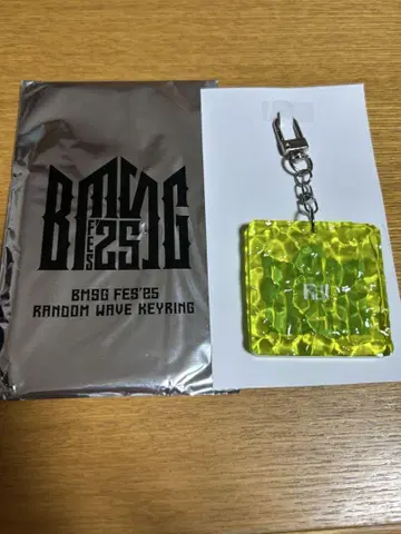 BMSG FES 랜덤 웨이브 키링 RUI